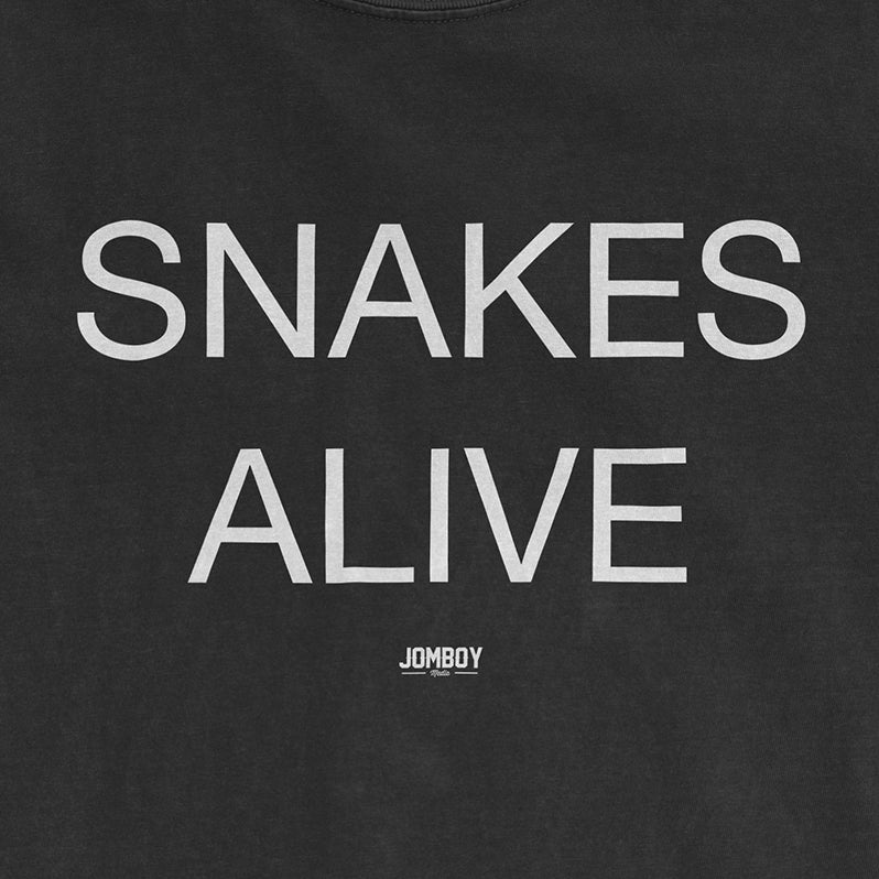 Snakes Alive | Comfort Colors Tee