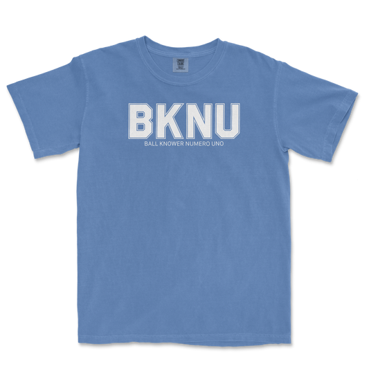 Ball Knower Numero Uno | Comfort Colors Tee