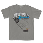 NEW YORK BASEBALL PRIDE | Comfort Colors Vintage Tee