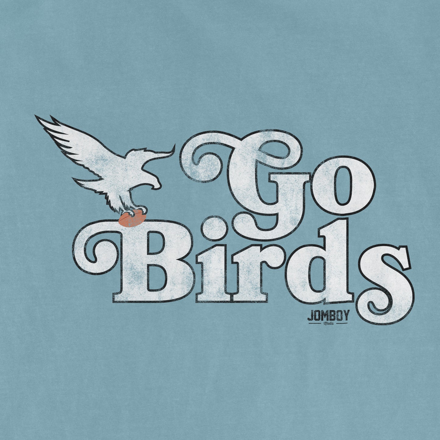 GO BIRDS | Comfort Colors® Vintage Tee