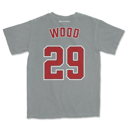 James Wood Shirsey | Comfort Colors Tee