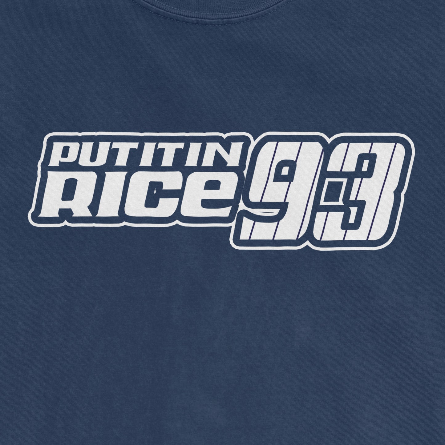 PUT IT IN RICE | COMFORT COLORS® VINTAGE TEE