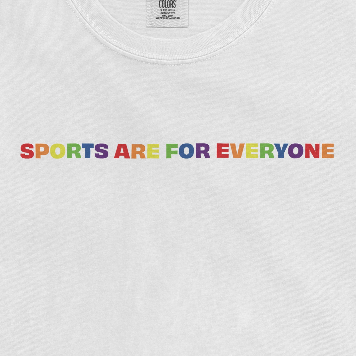 SPORTS ARE FOR EVERYONE | COMFORT COLORS VINTAGE TEE