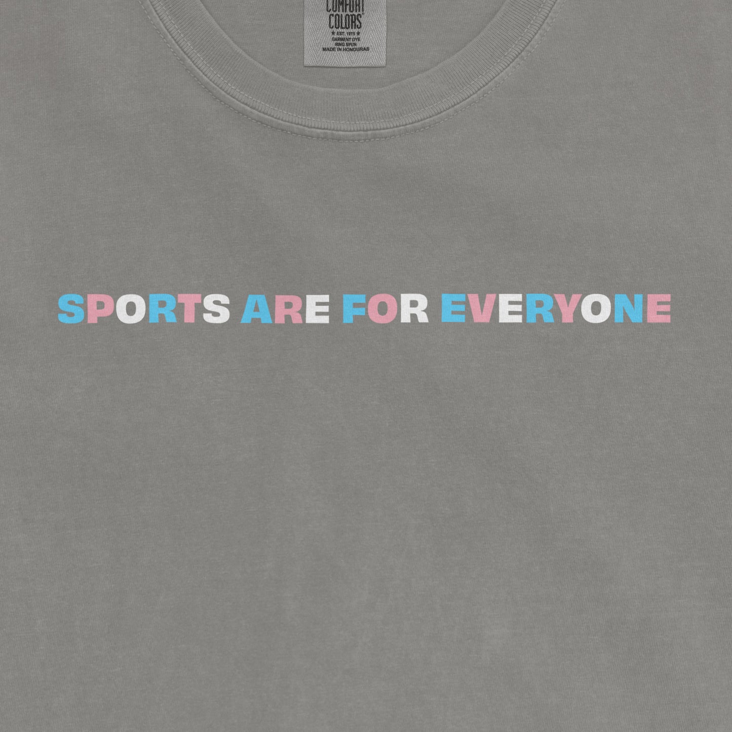 SPORTS ARE FOR EVERYONE | COMFORT COLORS VINTAGE TEE